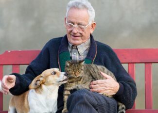 Pet Ownership for Seniors