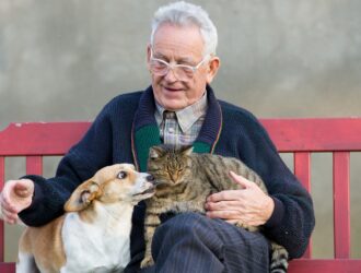 Pet Ownership for Seniors
