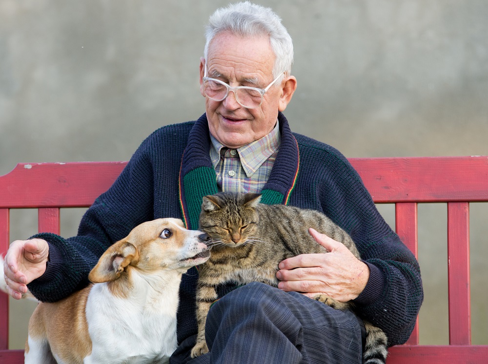 Pet Ownership for Seniors