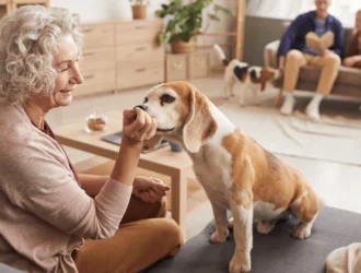 Good Dogs for Seniors