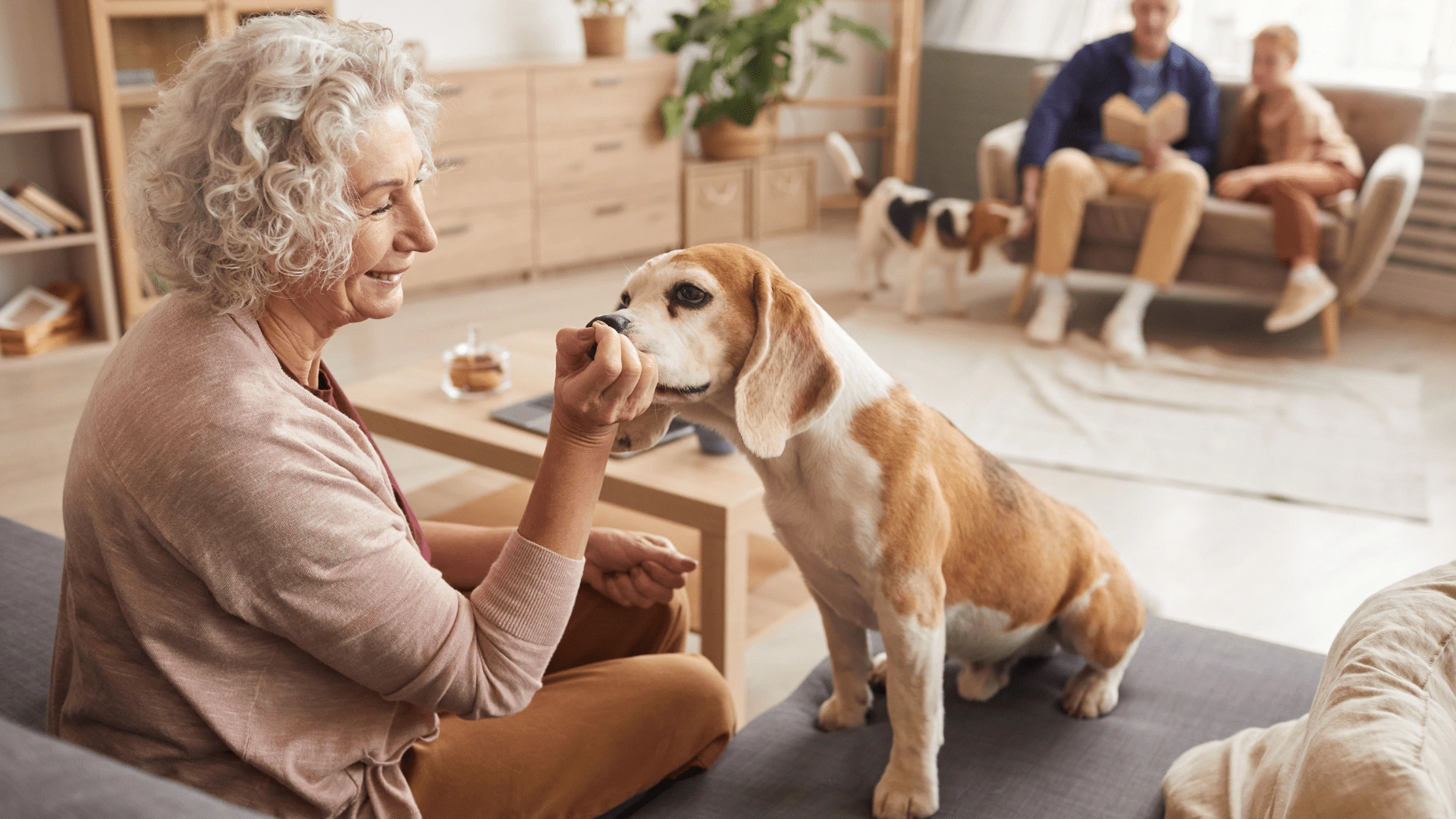 Good Dogs for Seniors